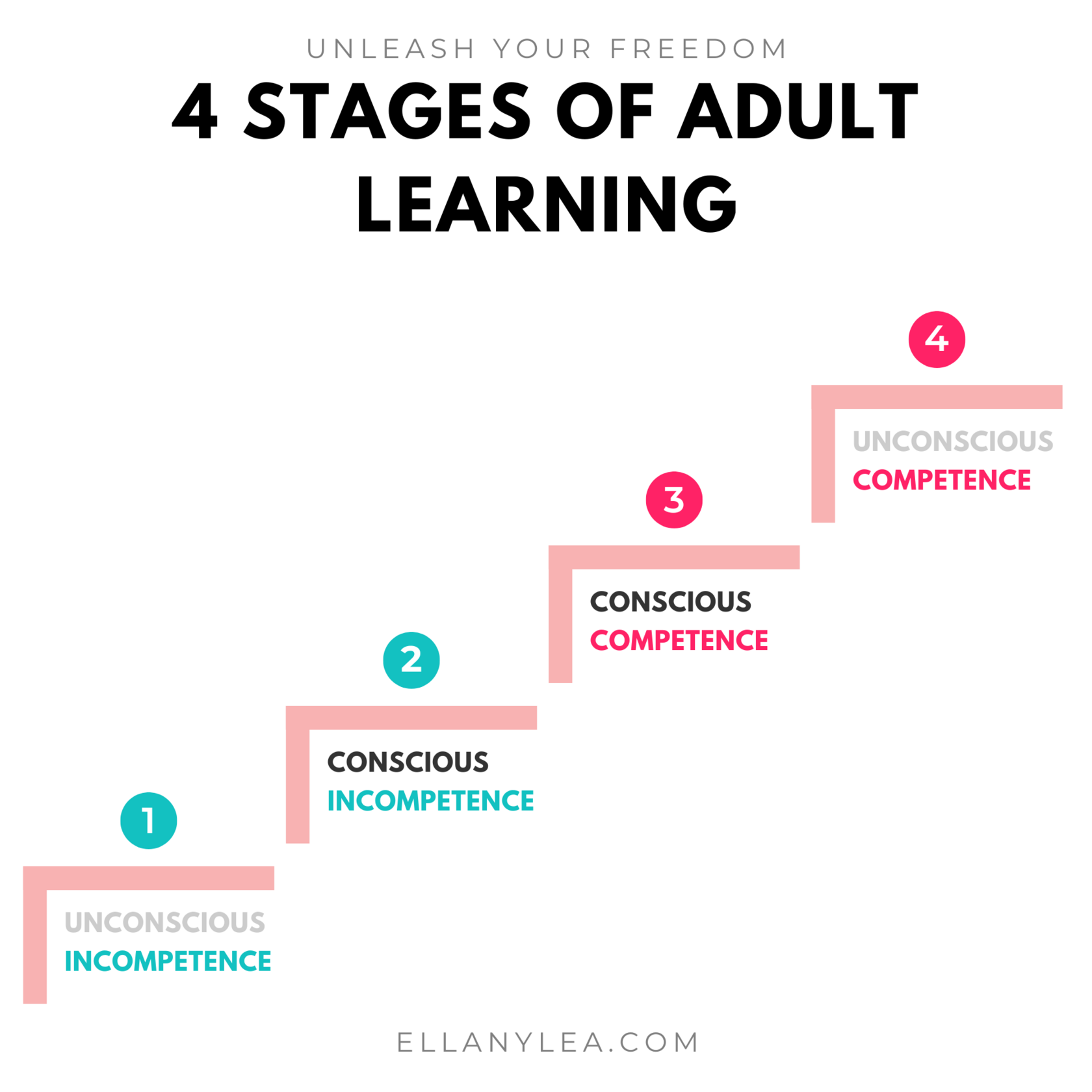 4-Stages-Adult-Learning