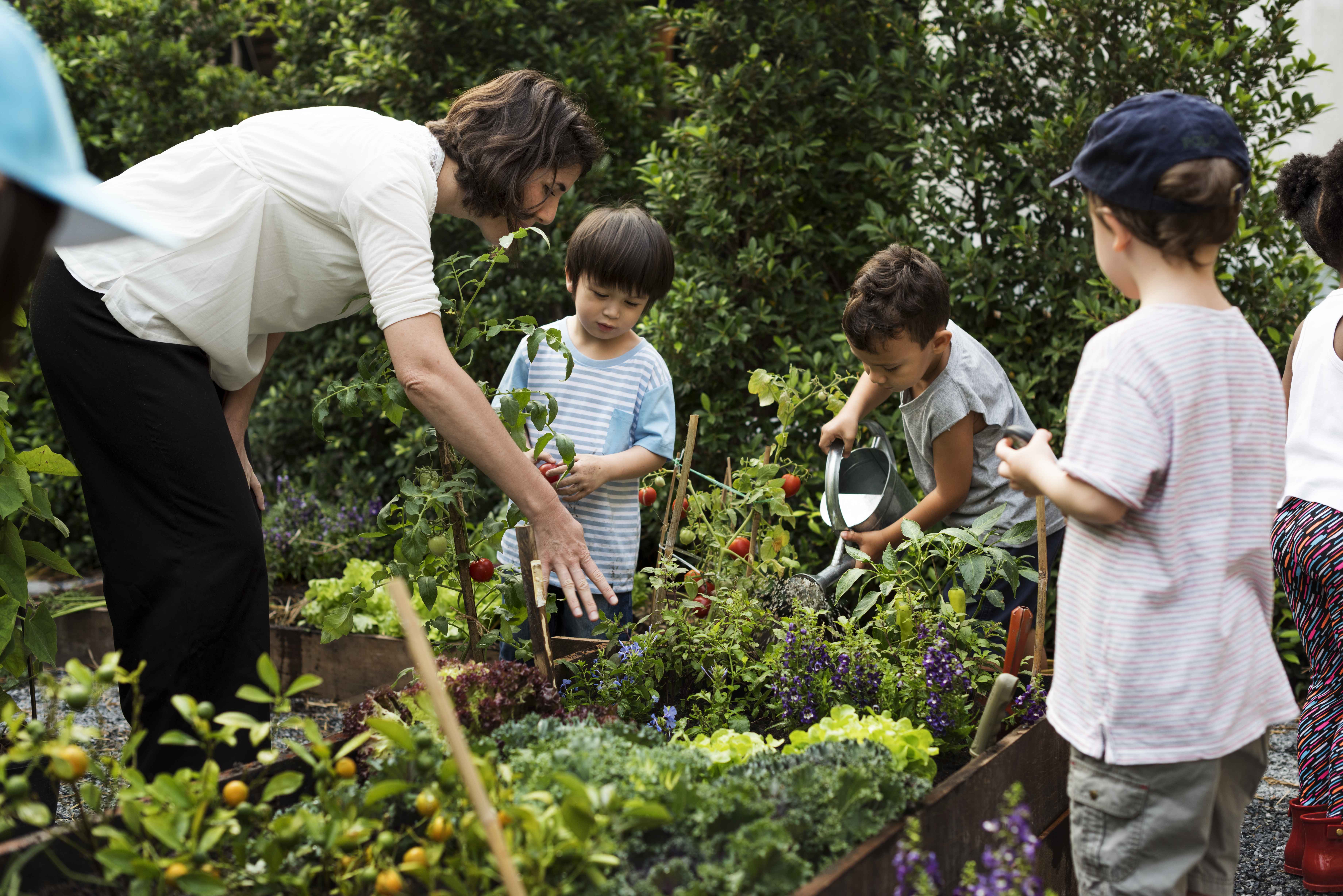 teacher-kids-school-learning-ecology-gardening (1)