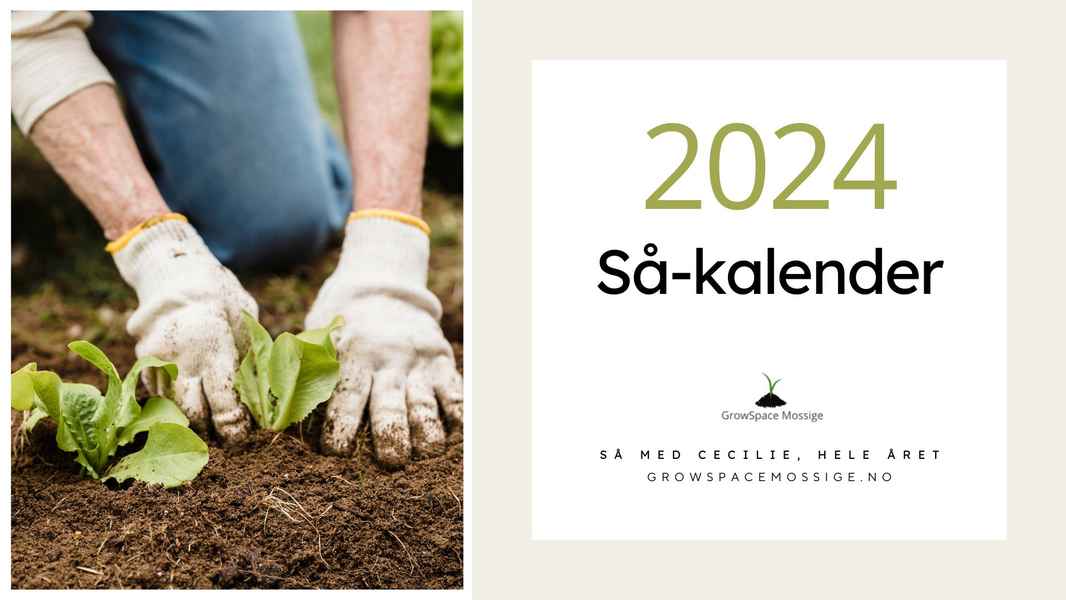 Såkalender 2024 GrowSpace