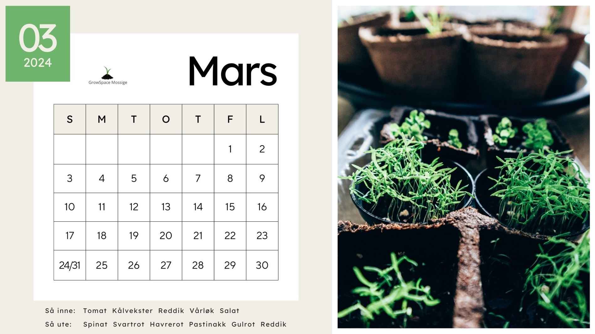 Såkalender 2024 GrowSpace (1)