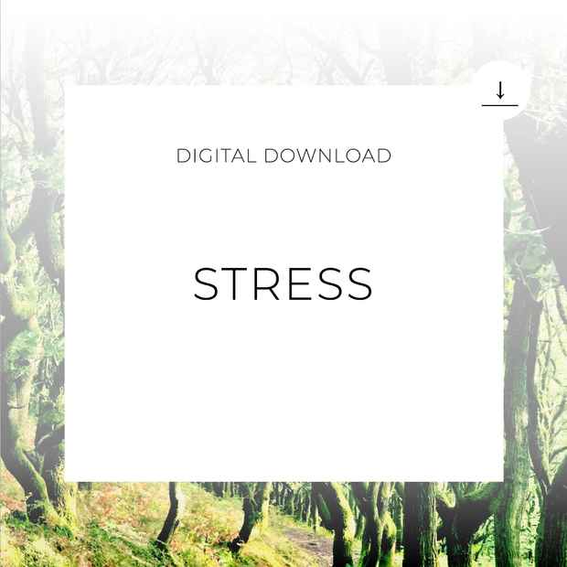 Stress - Digital Download