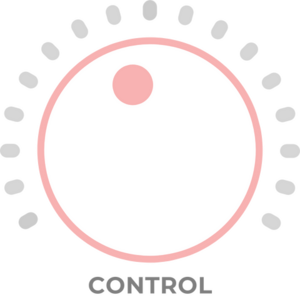 icon-4know-control-body