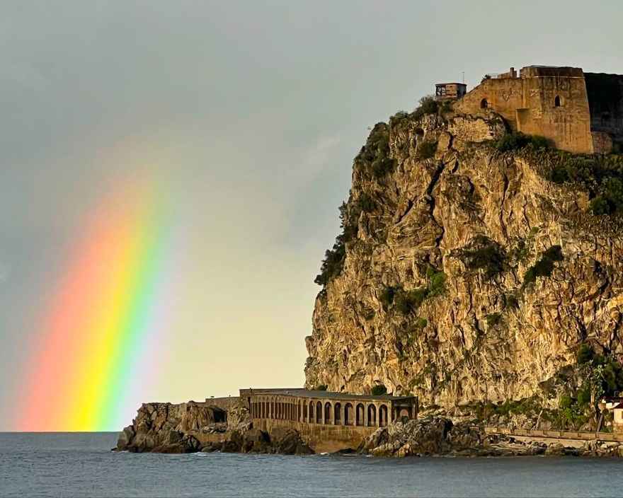Scilla-rainbow