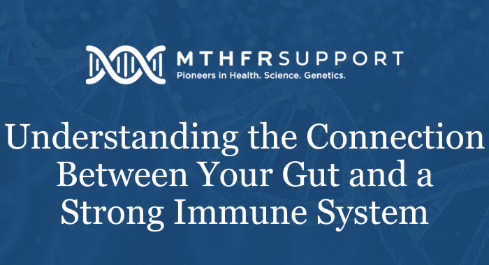Connection Between Your Gut and a Strong Immune System