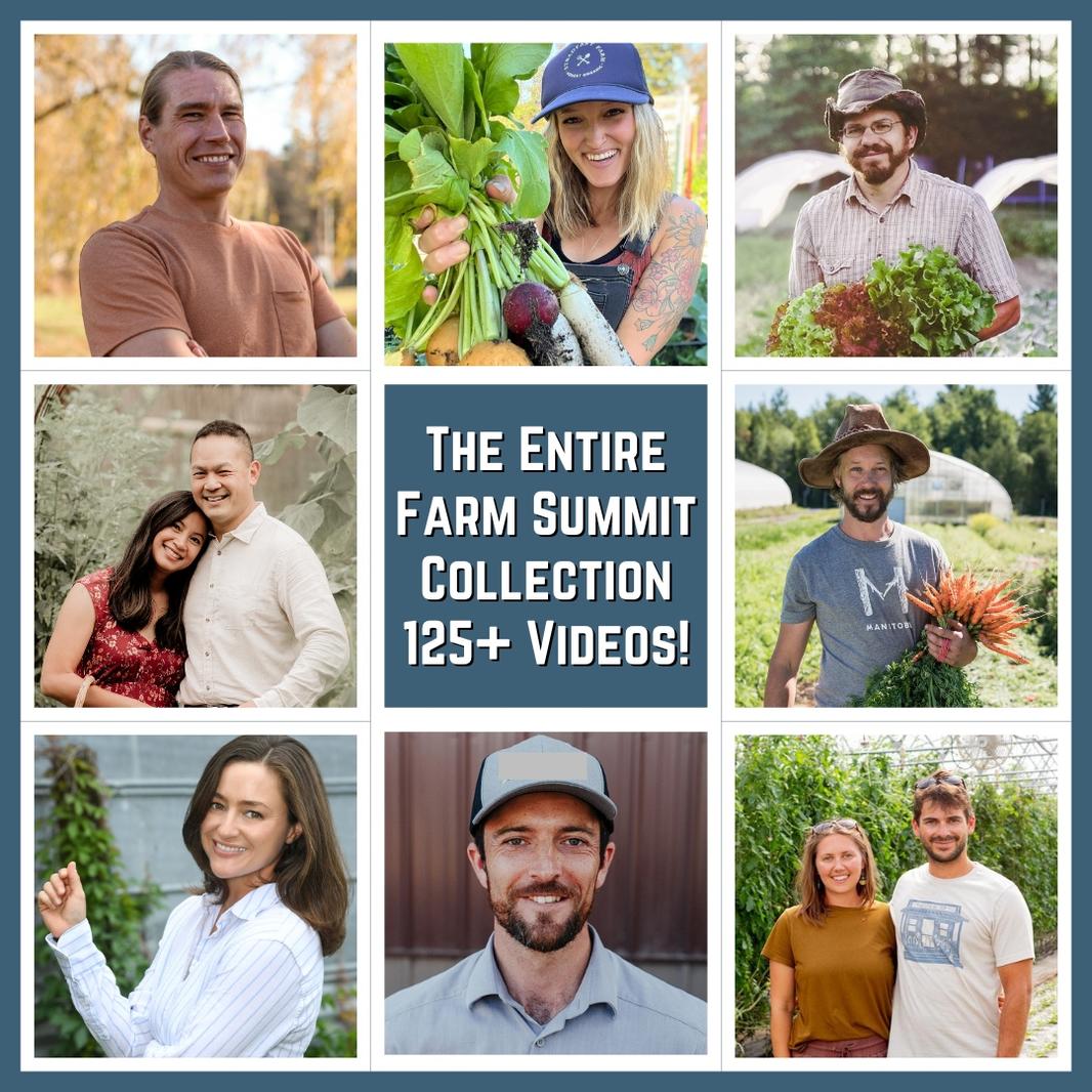 summit collection promo