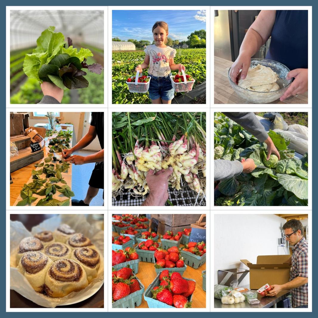 growing farmers courses square