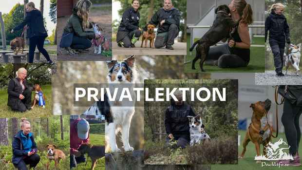 PRIVATLEKTION