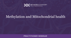 Methylation and Mitochondrial health image