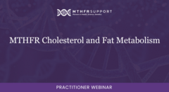 MTHFR Cholesterol and Fat Metabolism