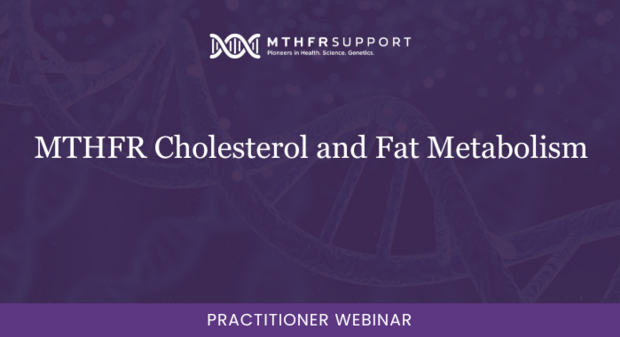 MTHFR Cholesterol and Fat Metabolism