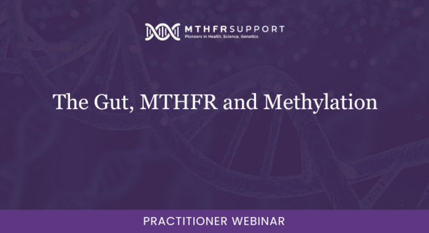 The Gut, MTHFR and Methylation