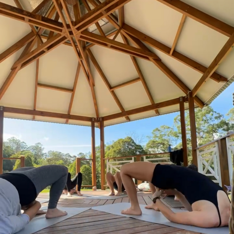 Waikivory Farm Experience Yoga