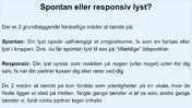 Sexlyst - spontan eller responsiv lyst