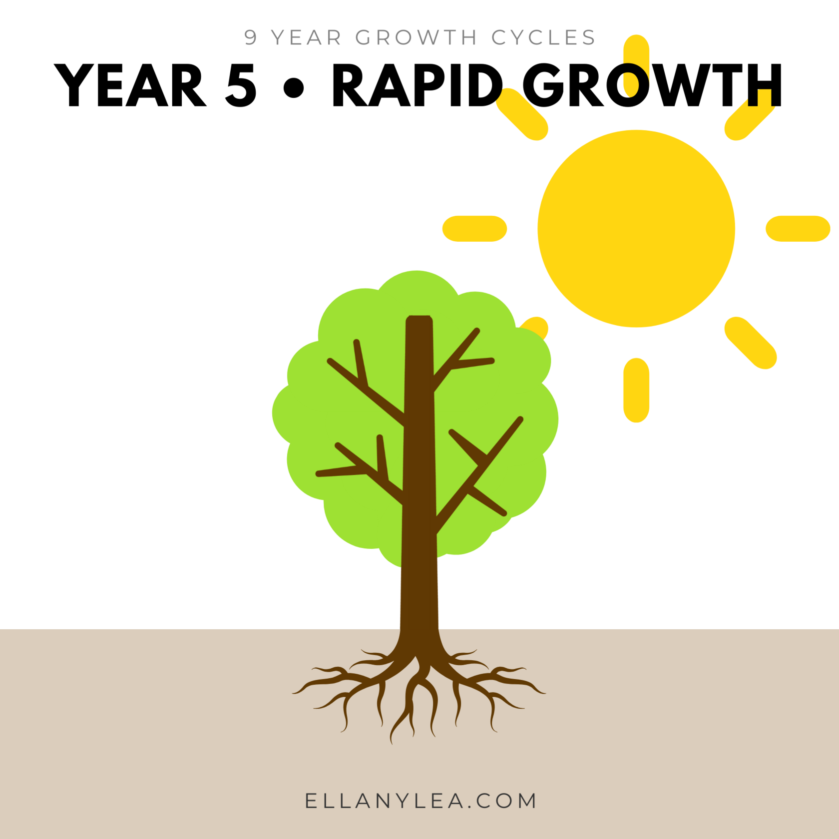 9-Year-Growth-Cycles-Year5