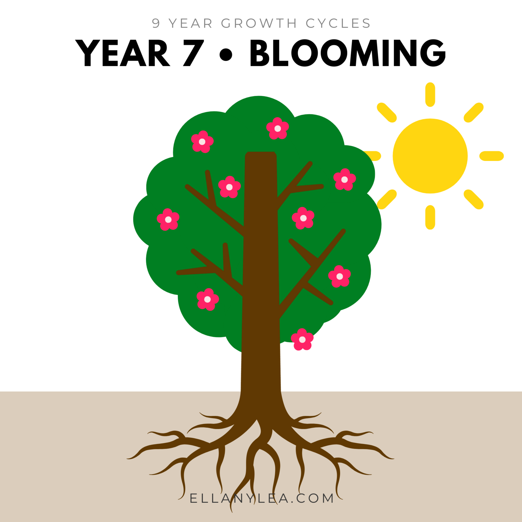 9-Year-Growth-Cycles-Year7