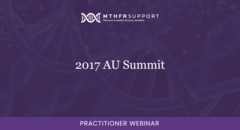 2017 AU Summit