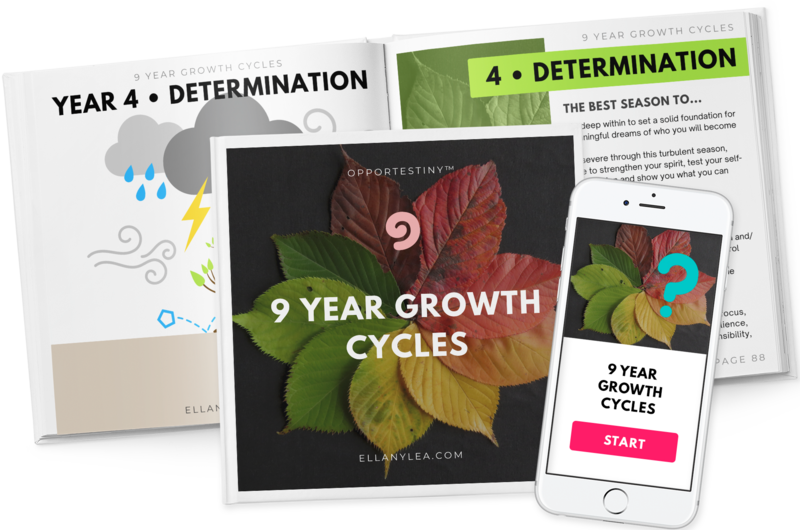 9 Year Growth Cycles - Book Quiz Set