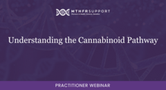 Understanding the Cannabinoid Pathway