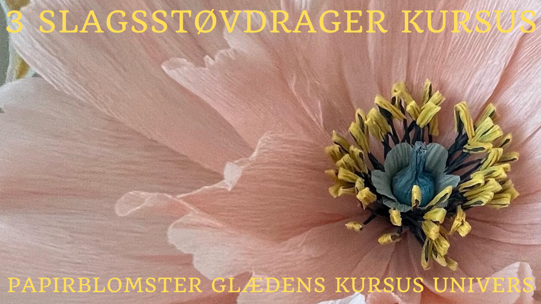 Støvdrager kursus forside