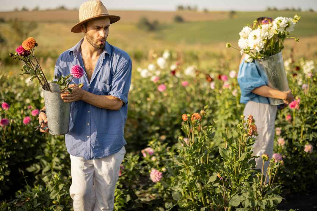 man-woman-pick-up-flowers-farm-outdoors