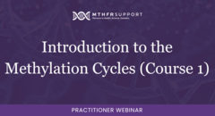Introduction to the Methylation Cycles (Course 1)