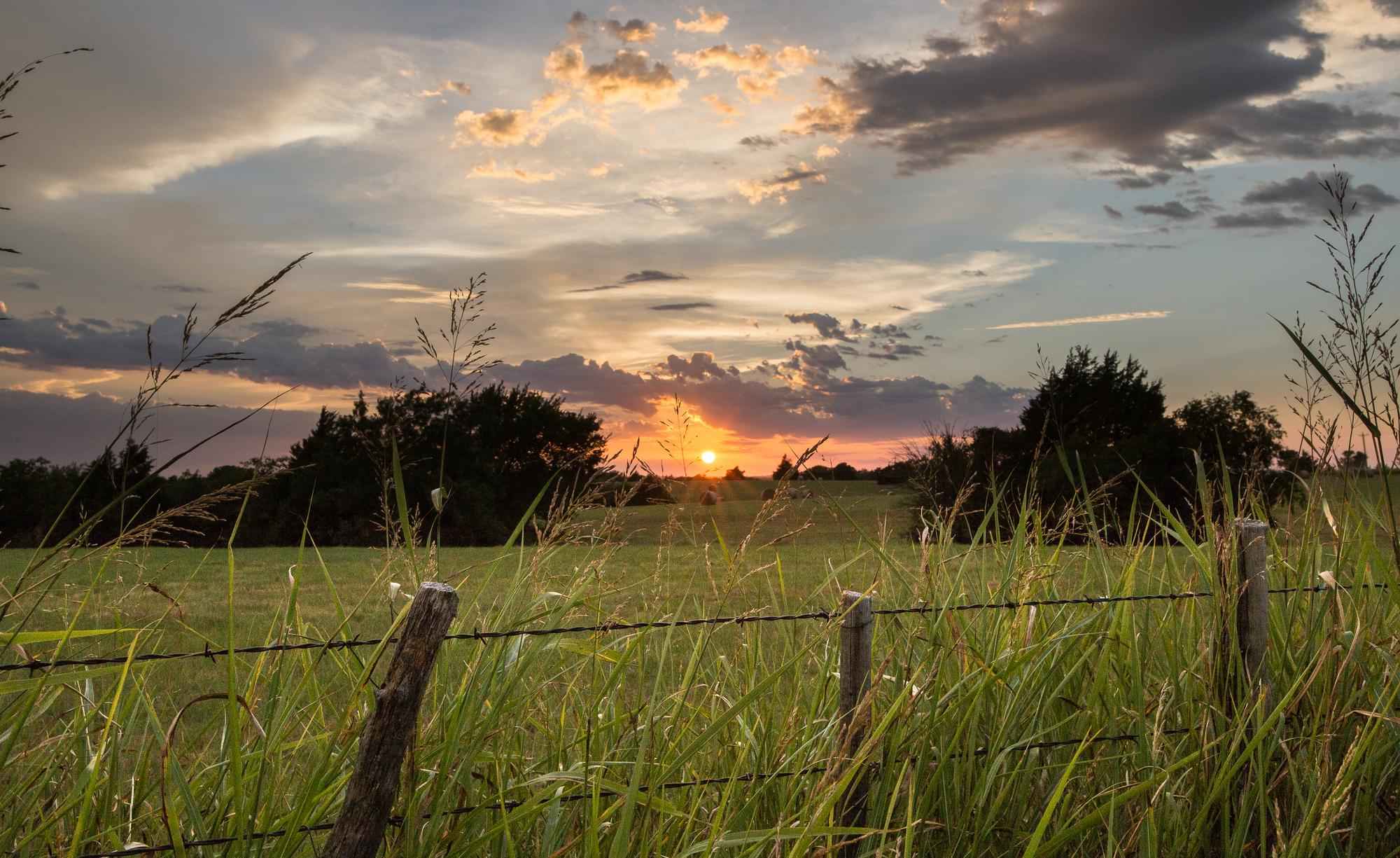 scenic-view-field-against-sky-during-sunset