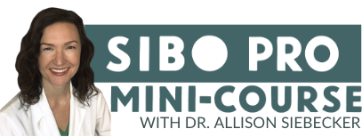 SIBO Pro Mini-course with headshot banner