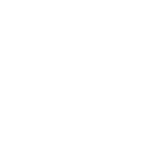 Safe Solutions logo