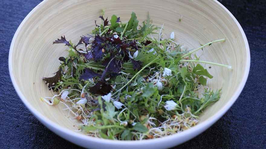 Winter salad from containers